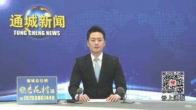 视频-日产40万颗！湖北玛耐伦科技有限公司自动化生产线全速运转 
