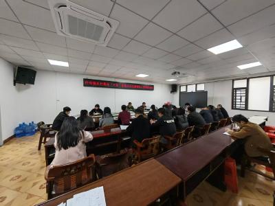 通城县沙堆镇组织召开农村集体“三资”管理突出问题整治工作推进会议