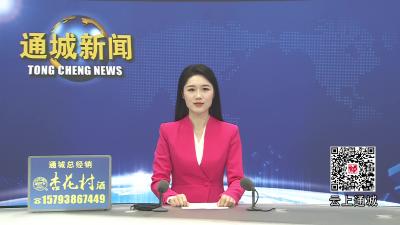 视频-通城县集中销毁非法出版物 净化文化市场 护航全民阅读