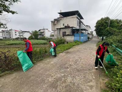 通城县四庄乡：党员带头清家园 乡村环境焕新颜