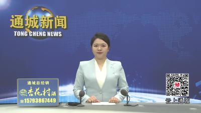 视频-湖北宝通科技有限公司：智造赋能电子升级 匠心深耕铸就品牌 