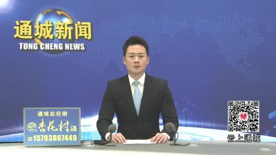 视频-通城县黄洛平拦水闸除险加固工程加快推进 预计今年10月竣工验收  