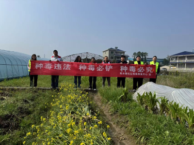 通城县隽水镇新塔社区：多部门联合开展禁种踏查行动