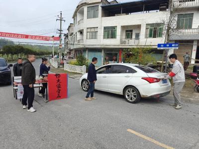 鲜花换烟火 文明寄哀思 | 通城县沙堆镇筑牢清明“防火墙”