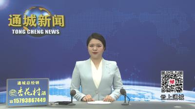 视频-全县集中整治群众身边不正之风和腐败问题工作调度会召开