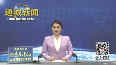 视频-“碘”亮健康 普惠民生丨咸宁市2026年第33个“防治碘缺乏病日”主题活动在通城县举行