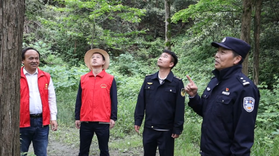 多部门联动执法 守护湖北药姑山省级自然保护区生态屏障
