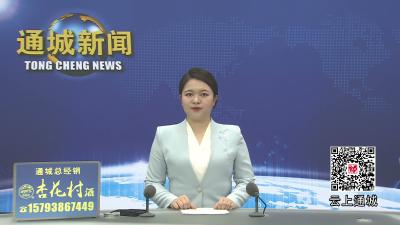 视频-通城县马港镇：深化政务服务改革 打通便民服务 “最后一公里”