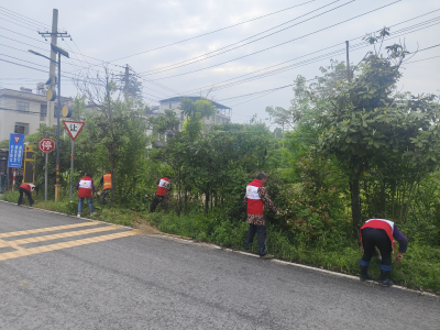 【清洁家园在行动】通城县石南镇：清整道路沿线 扮靓乡村人居环境