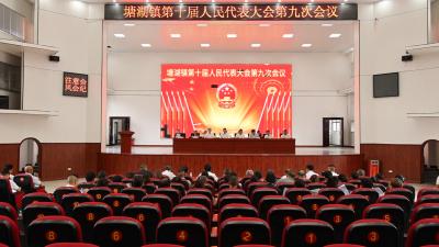通城县塘湖镇第十届人民代表大会第九次会议召开  