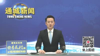视频-通城县召开信访包案化解工作推进会