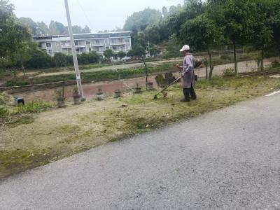 机械助力+群众发力 | 通城县石南镇花亭村开展主干道环境整治行动