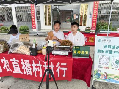 通城县塘湖镇荻田村开展“助农直播村村行·流动邮局进万家”活动