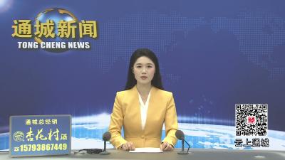 视频-通城县领导参加塘湖镇深化“聚力支点建设·共建隽秀通城”代表行动 