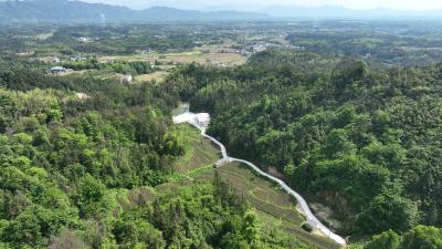 湘鄂赣斗茶大会夺双金 通城“水公主”香飘三省  