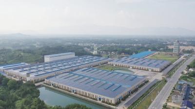 【劳模风采】销售额增长超26% 解锁玉立集团智能砂带一车间“先锋密码”