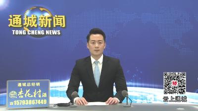 视频-【春耕备耕正当时】通城县沙堆镇：“中椒G19”栽种忙 千亩基地奏响春耕曲