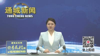视频-黄建平到关刀镇调研 