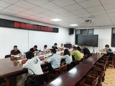全力筑牢强降雨安全防线|通城县沙堆镇召开防汛工作推进会