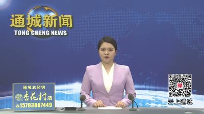 视频-长江产业投资集团来通城县考察交流 