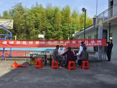通城县隽水镇利和村：党建引领护健康 便民服务暖民心