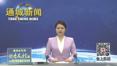 视频-通城县政协召开“一线协商·护航未成年人健康成长”专题会议