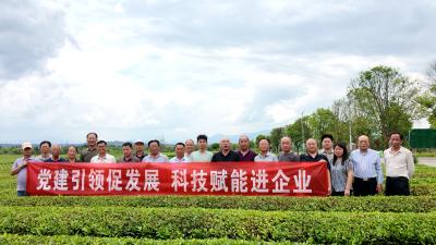 通城茶协：党建引领促发展科技赋能进企业