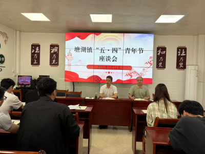 通城县塘湖镇开展“五四”青年节座谈会