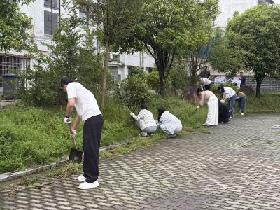 通城县五里镇：义务除草践初心 机关环境展新颜