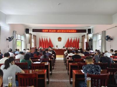 通城县马港镇开展“民法典宣传月”活动