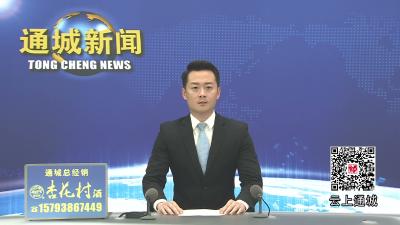视频-黄建平到麦市镇调研 