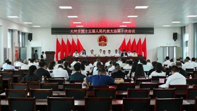 视频-通城县大坪乡第十五届人民代表大会第十次会议召开 