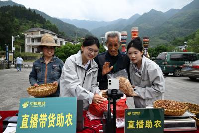 湖北通城：助农直播进乡村 流动邮局惠民生