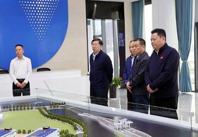 梁细林来通城调研提案办理和经济社会发展情况