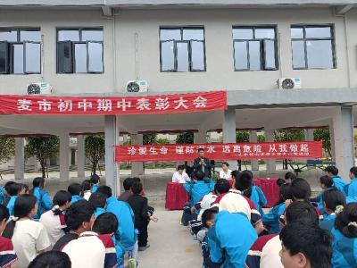 通城县麦市镇卫生院开展健康宣传进校园活动