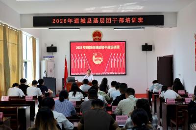 通城县举办2026年基层团干部培训班