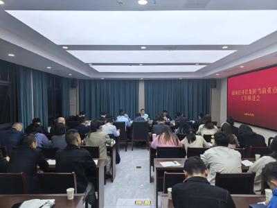 实干善成勇争先 奋力冲刺双过半｜通城经开投资集团召开重点工作推进会