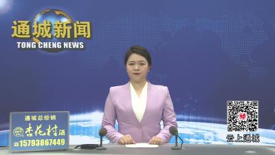 视频-通城县召开城建领域重点工作专题研判会