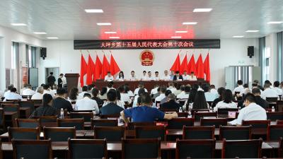 通城县大坪乡第十五届人民代表大会第十次会议召开  