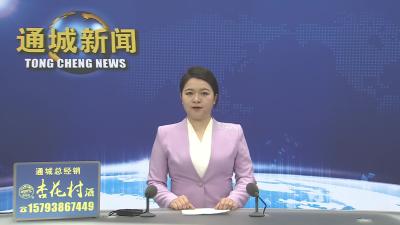 视频-黄建平主持召开县委常委会2026年第13次会议 