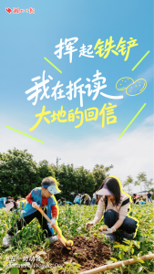 把劳动这首诗写在大地上