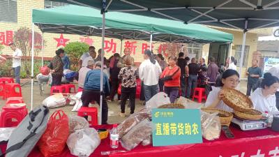 通城五里镇大坪坳村联合中国邮政举办直播带货助农活动  让土特产搭上“云快车”