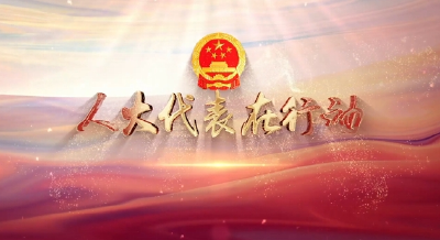 【人大代表在行动②】紧盯民生实事 护航重大项目  