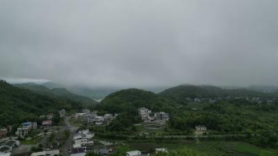 视频-通城县塘湖镇望湖村：富硒蓝莓果飘香 生态种植喜丰收