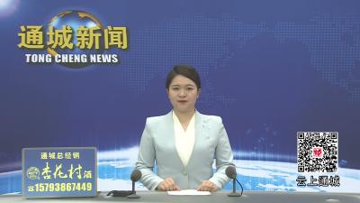 视频-市政协副主席刘中英来通城开展专题调研 