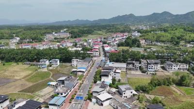 【重点交通项目建设】挖机轰鸣暖乡野 S362金保线公路改建提速  