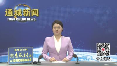 视频-与民同心 为您守护｜通城县公安开展“5•15”打击防范经济犯罪主题宣传活动