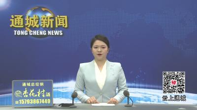 视频-通城县自然资源和规划委员会2026年第1次全体会议召开