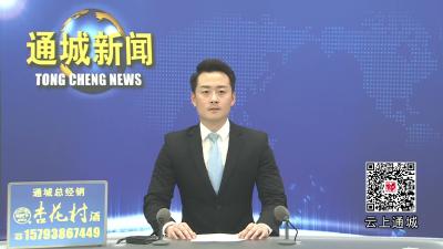 视频-通城县召开2026年市县两级人大代表建议、政协委员提案交办会 