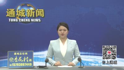 视频-通城县召开2026年度政务公开业务培训会 